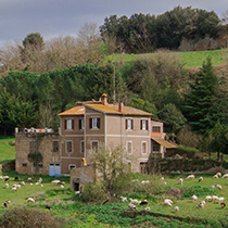 Museo: La Casa dei Simboli Bonaria Manca